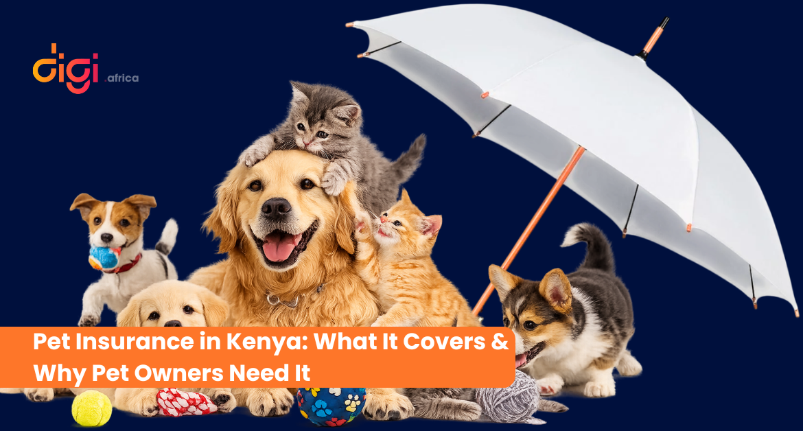 Pet Insurance in Kenya: What It Covers & Why Pet Owners Need It