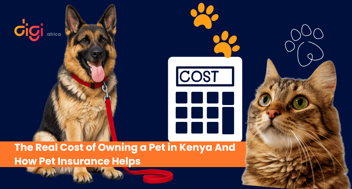 The Real Cost of Owning a Pet in Kenya And How Pet Insurance Helps