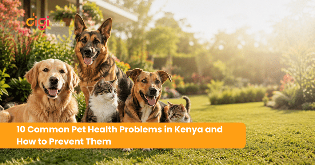10 Common Pet Health Problems in Kenya and How to Prevent Them