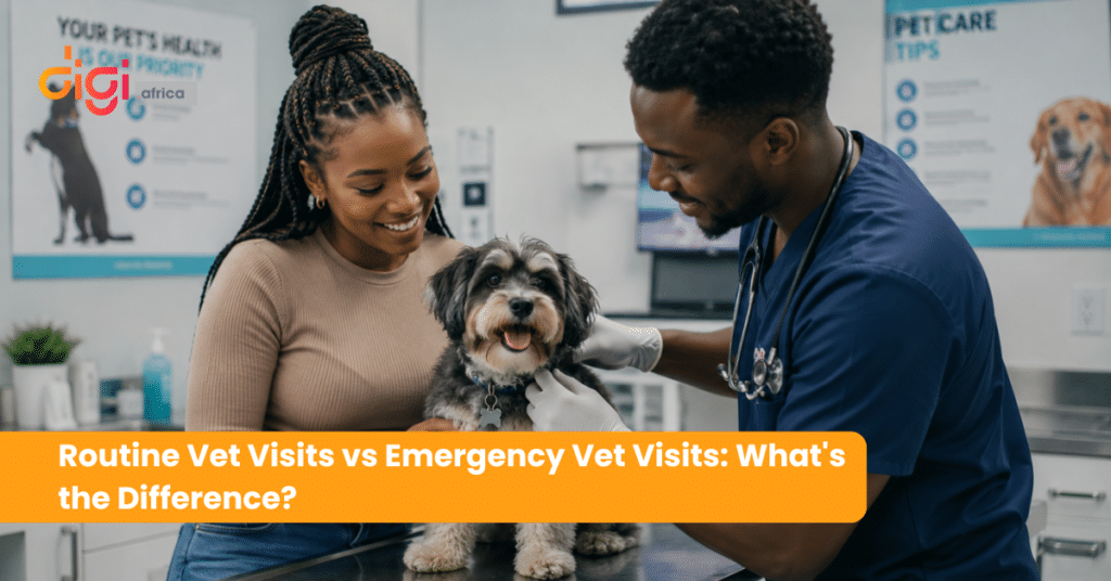 Routine Vet Visits vs Emergency Vet Visits: What's the Difference?
