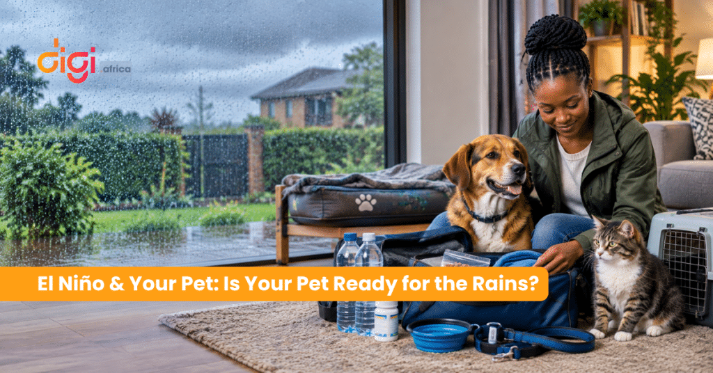 El Niño & Your Pet: Is Your Pet Ready for the Rains?