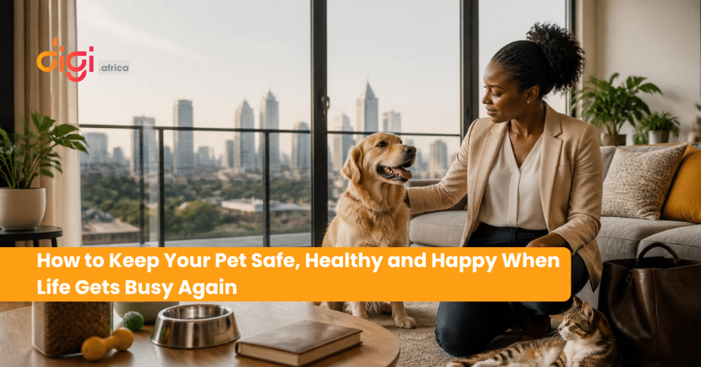 How to Keep Your Pet Safe, Healthy, and Happy When Life Gets Busy Again