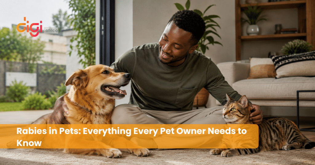 Rabies in Pets: Everything Every Pet Owner Needs to Know