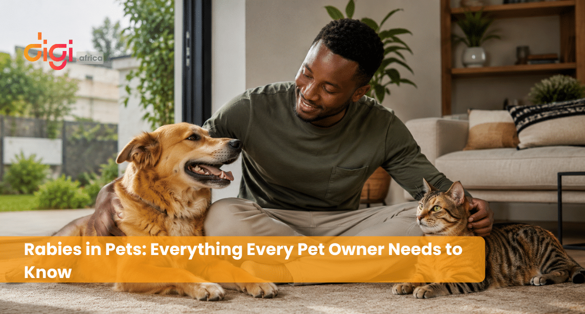 Rabies in Pets: Everything Every Pet Owner Needs to Know